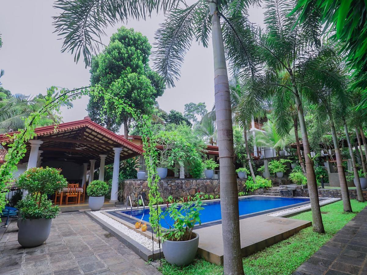 Terrace Garden Ayurveda Resort Weligama Exterior photo