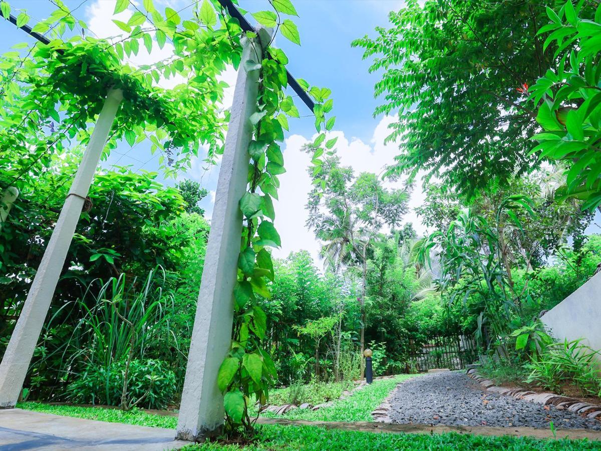 Terrace Garden Ayurveda Resort Weligama Exterior photo