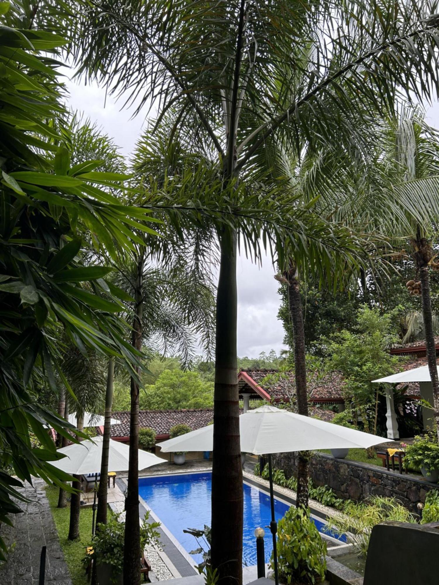 Terrace Garden Ayurveda Resort Weligama Exterior photo