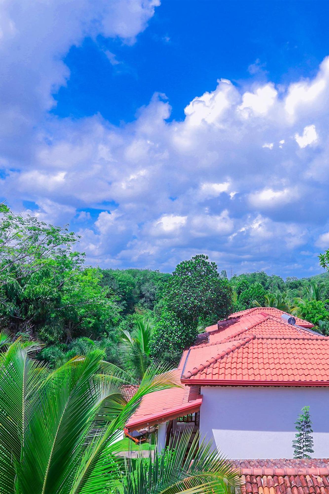 Terrace Garden Ayurveda Resort Weligama Exterior photo